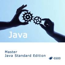 Master Java Standard Edition