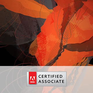 Corso Online Web Design & eCommerce per Grafici con Certificazione
